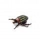 Майский жук уменьшенный SG-26 (1.5 гр)