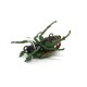 Майский жук уменьшенный SG-38 (1.5 гр)